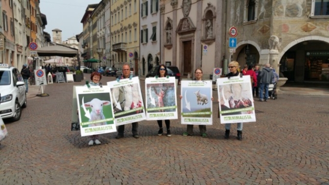 Manifestazione di protesta contro il massacro Pasquale degli agnelli e capretti 15 Aprile 2017 20170415 122336 672x378