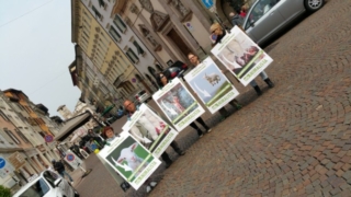Manifestazione di protesta contro il massacro Pasquale degli agnelli e capretti 15 Aprile 2017 20170415 122342 672x378