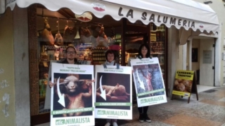 Manifestazione di protesta contro il massacro Pasquale degli agnelli e capretti 15 Aprile 2017 IMG 20170416 WA0017 672x378