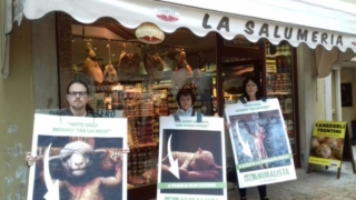 Manifestazione di protesta contro il massacro Pasquale degli agnelli e capretti 15 Aprile 2017 IMG 20170416 WA0020 672x378