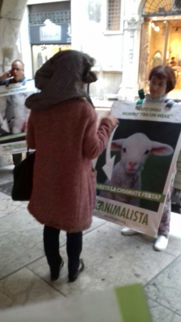 Manifestazione di protesta contro il massacro Pasquale degli agnelli e capretti 15 Aprile 2017 IMG 20170416 WA0025