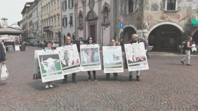Manifestazione di protesta contro il massacro Pasquale degli agnelli e capretti 15 Aprile 2017 foto manif. agnelli 2 672x377