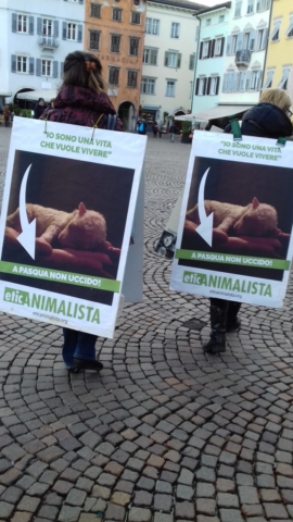 “A PASQUA NON UCCIDO” Manifestazione di protesta contro la strage pasquale di agnelli e capretti 20180330 171937 672x1195