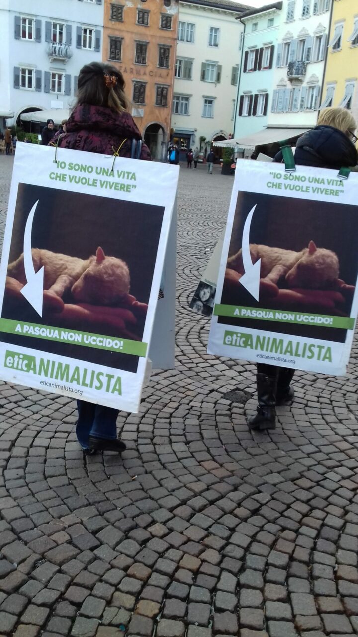 “A PASQUA NON UCCIDO” Manifestazione di protesta contro la strage pasquale di agnelli e capretti 38