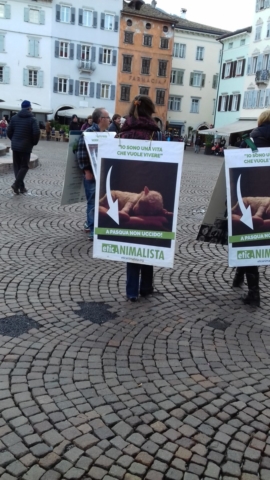 “A PASQUA NON UCCIDO” Manifestazione di protesta contro la strage pasquale di agnelli e capretti 20180330 171939 672x1195