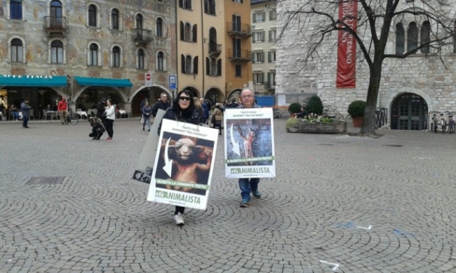 “A PASQUA NON UCCIDO” Manifestazione di protesta contro la strage pasquale di agnelli e capretti IMG 20180330 WA0006 1 672x403