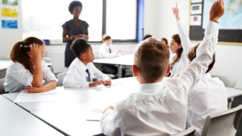 Come le famiglie vegane stanno ottenendo cambiamenti significativi nell'istruzione come le famiglie vegane stanno ottenendo cambiamenti significativi nellistruzione 3