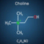 vegan sources of choline